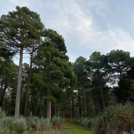 Guadarrama Apartment *